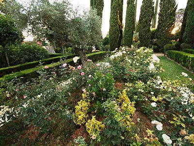 Hotel Abades 4*